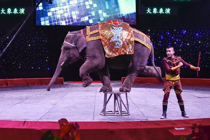 开封市汴京网上打牌app团有限网上打