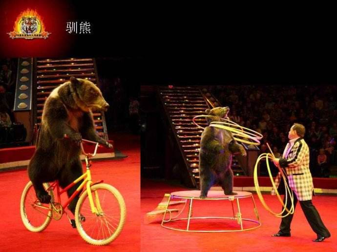 网上打牌app官方网站入口说明