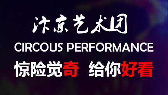 网上打牌app常用功能哪家好 在我们印象中老死不相往来的狮子和老虎