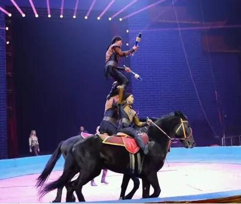 网上打牌app使用方法哪家好 效用分析 马戏杂技表演 且不说是网上